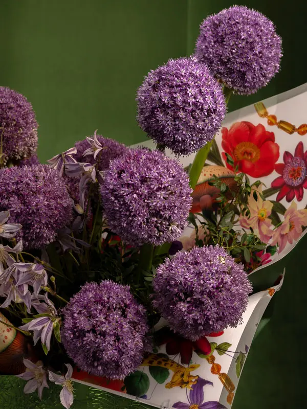 Bliss-2117.webp