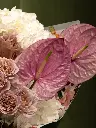 Bliss-2564.webp