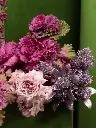 1D1A3434.webp