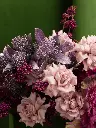 1D1A3432.webp