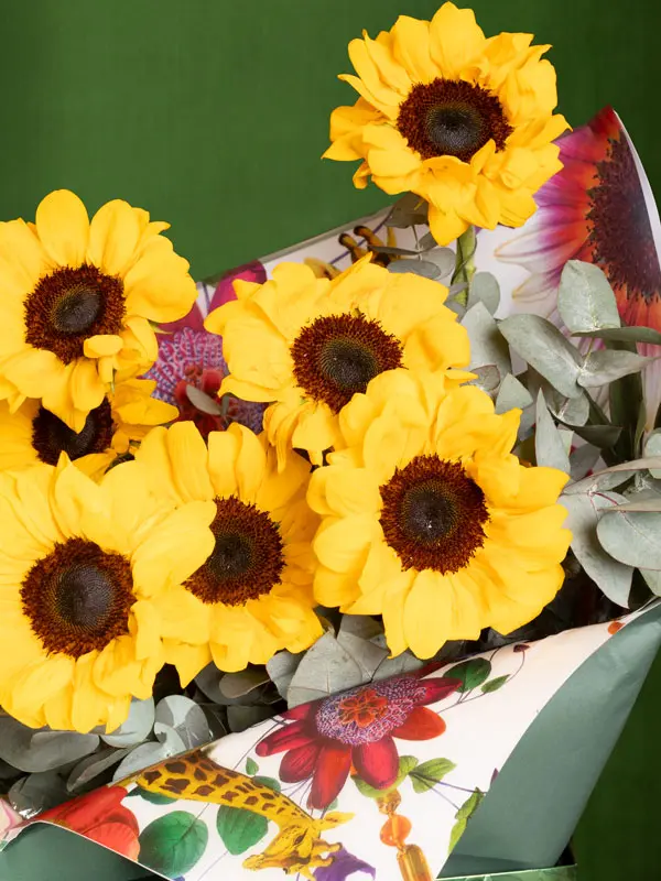 BLISS-171.webp