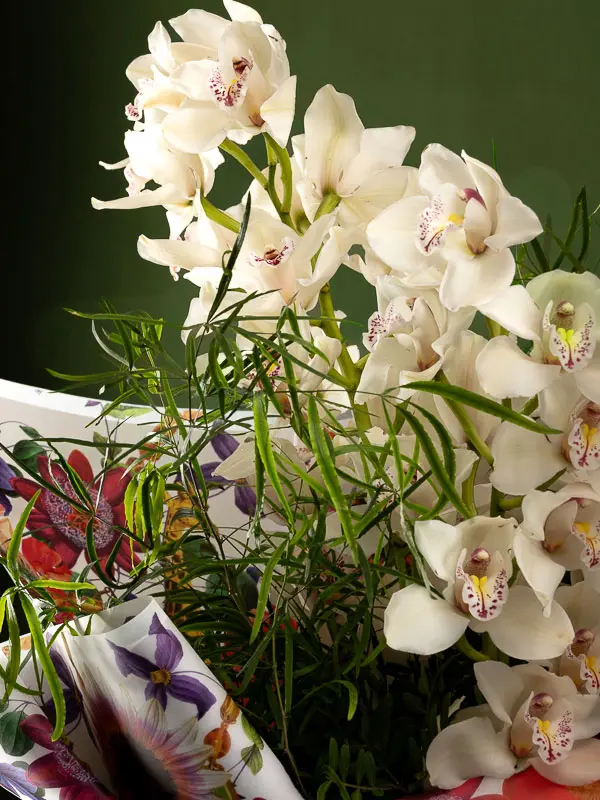 Bliss-3815.webp