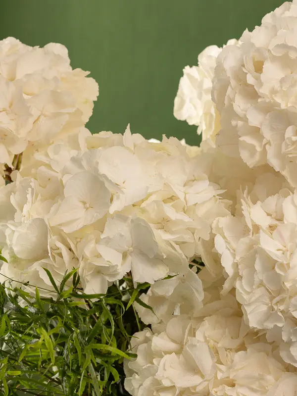 Bliss-1260.webp