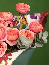 BLISS-203.webp