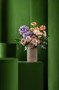 bliss-1320 copy.webp