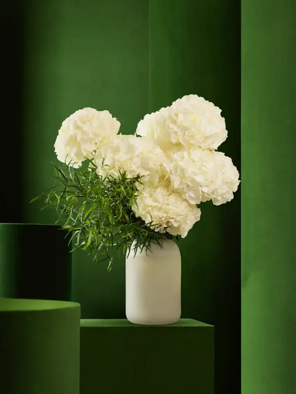 Bliss-1256.webp