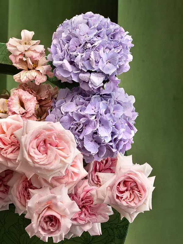 Bliss-2863.webp