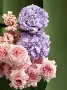 Bliss-2863.webp