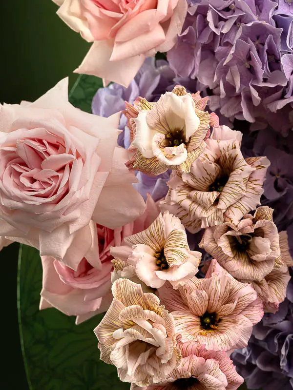 Bliss-2861.webp