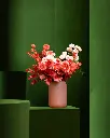 bliss-166.webp