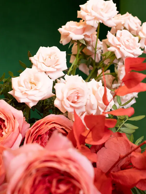 bliss-176.webp