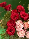 Bliss-shoot-108.webp