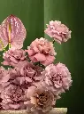 Bliss-2666.webp