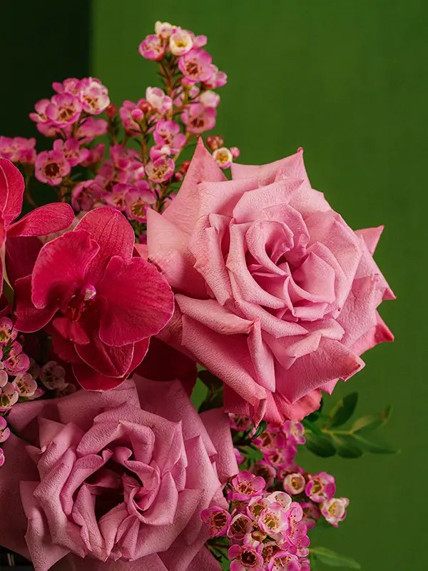 DSC01487_.webp