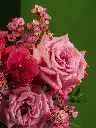 DSC01487_.webp