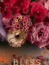 DSC01484_.webp