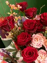 Bliss-shoot-035.webp