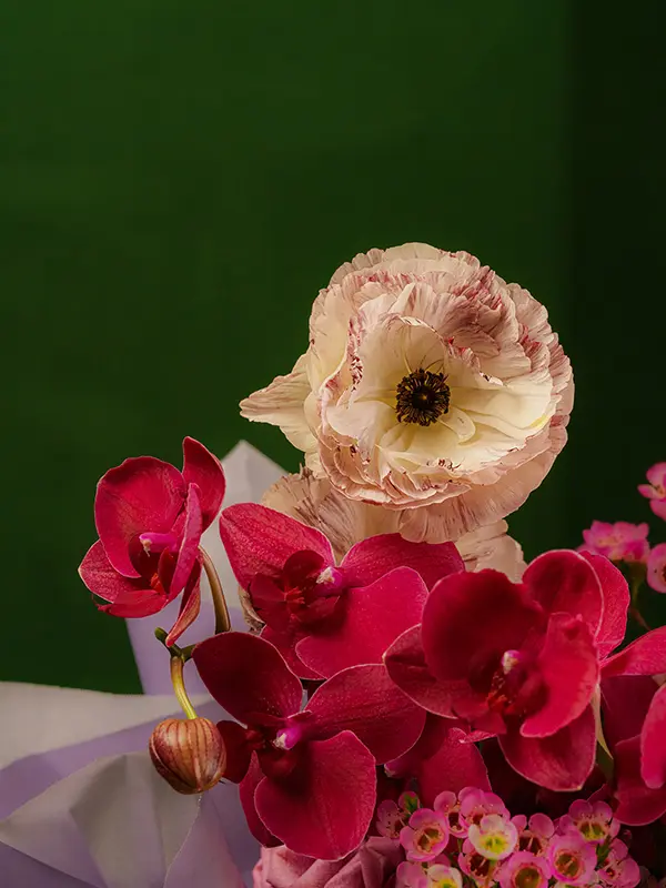 DSC01485_.webp