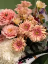 Bliss-1491.webp