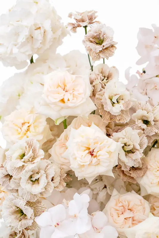 2023-06-12_BLISS_01-5.webp