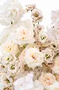 2023-06-12_BLISS_01-5.webp