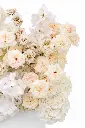 2023-06-12_BLISS_01-3.webp