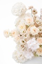 2023-06-12_BLISS_01-4.jpg
