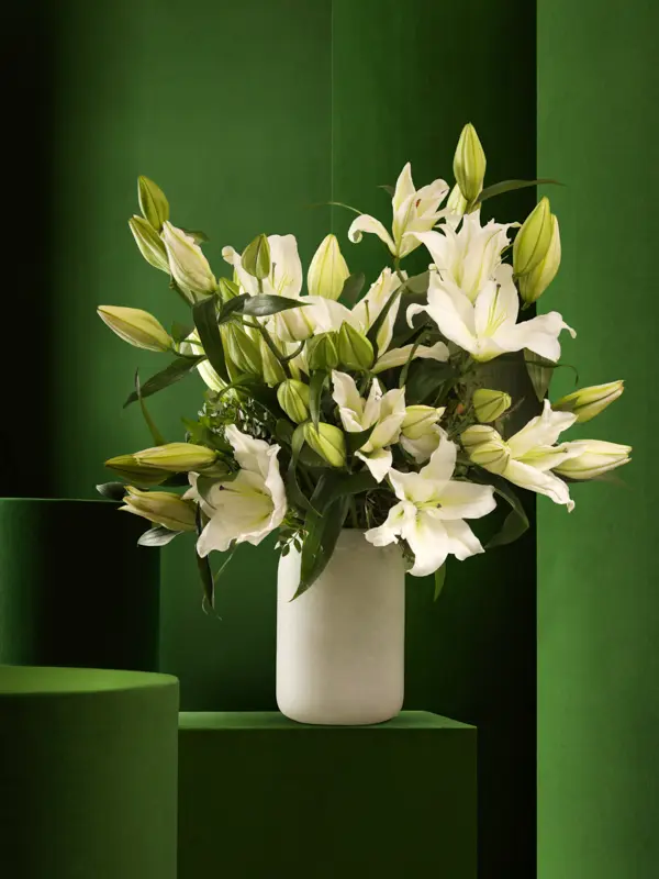 Bliss-1707.webp