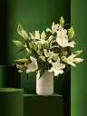 Bliss-1707.webp
