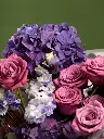 Bliss-3223.webp