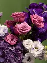 Bliss-3254.webp