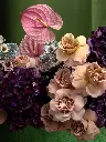 Bliss-2375.webp