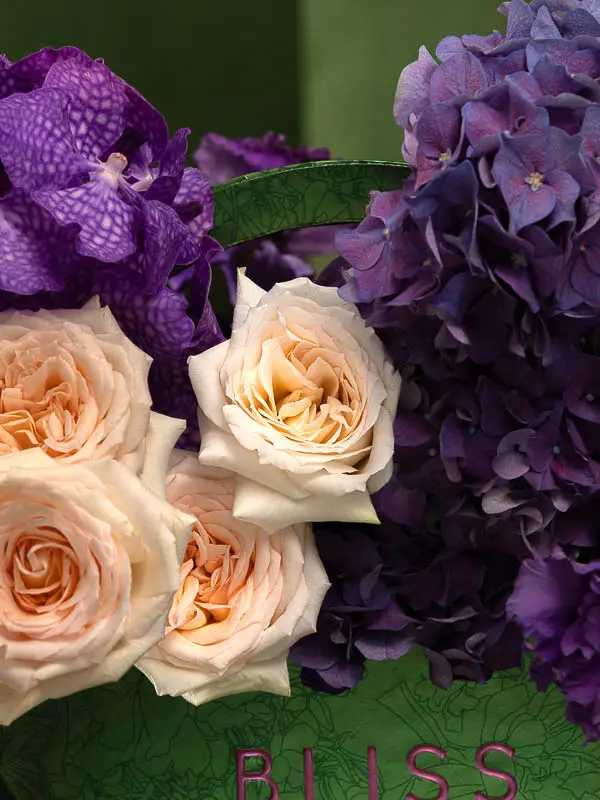 Bliss-2571.webp