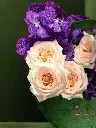 Bliss-2573.webp