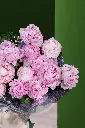 P3 (1).webp