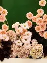 PEACH MELBA CRUMBLE (1).webp