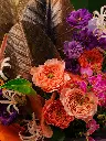 DSC01406_.webp