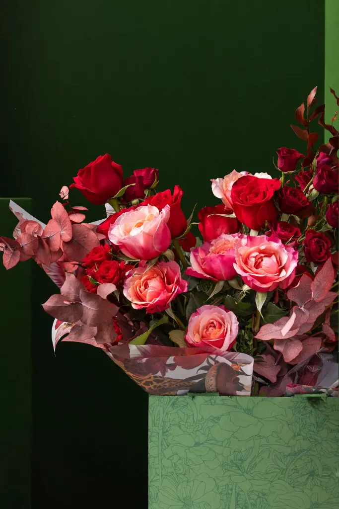 1R5A1423.webp