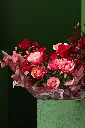 1R5A1423.webp