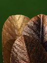 DSC01410_.webp