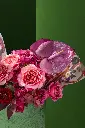 1R5A1480.webp