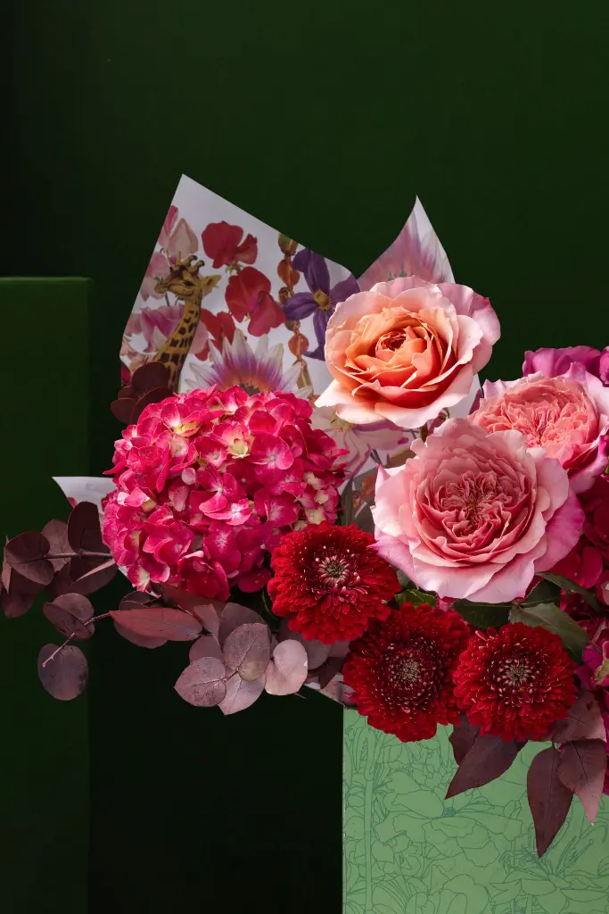1R5A1479.webp