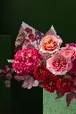 1R5A1479.webp