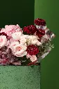 1R5A1334.webp