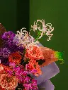 DSC01405_.webp