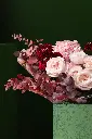 1R5A1331.webp