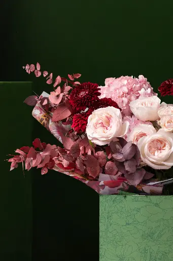 1R5A1331.webp