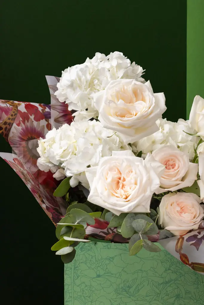 1R5A1278.webp