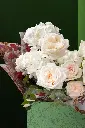 1R5A1278.webp