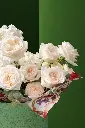 1R5A1284.webp